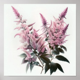 Roze Astilbe Flower Art Print Poster