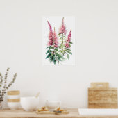 Roze Astilbe Flower Art Print Poster (Keuken)