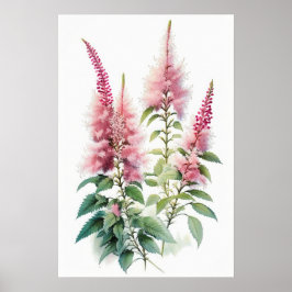 Roze Astilbe Flower Art Print Poster