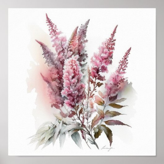 Roze Astilbe Flower Art Print Poster (Voorkant)