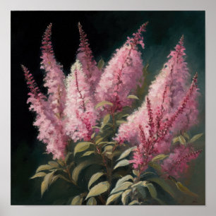 Roze Astilbe Flower Art Print Poster