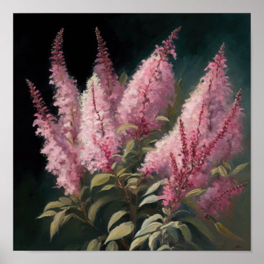 Roze Astilbe Flower Art Print Poster (Voorkant)