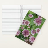 Roze Astrantia Bloeit Bloemen Notitieboek (Binnen)