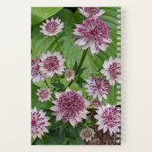 Roze Astrantia Bloeit Bloemen Notitieboek (Achterkant)