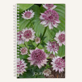 Roze Astrantia Bloeit Bloemen Notitieboek (Voorkant)