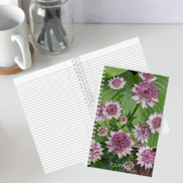 Roze Astrantia Bloeit Bloemen Notitieboek