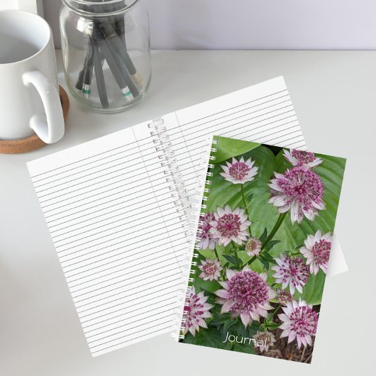Roze Astrantia Bloeit Bloemen Notitieboek