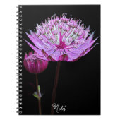 Roze Astrantia Bloem op Zwarte Bloem Notitieboek (Voorkant)