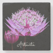 Roze Astrantia Bloem op Zwarte Bloem Stenen Onderzetter (Voorkant)