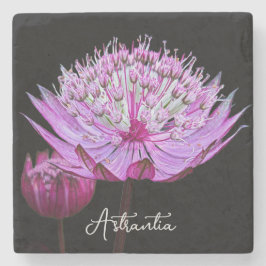 Roze Astrantia Bloem op Zwarte Bloem Stenen Onderzetter