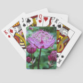 Roze Astrantia Bloesem Bloemstuk Pokerkaarten (Achterkant)