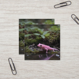 Roze Axolotl bij de rivier, Vierkante Visitekaartje