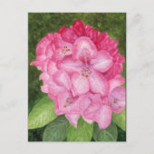 Roze Azalea Art Briefkaart (Voorkant)