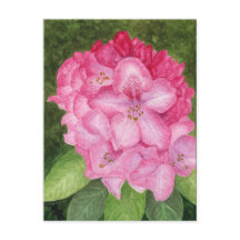 Roze Azalea Art Briefkaart