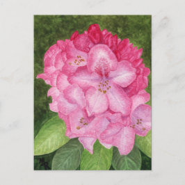Roze Azalea Art Briefkaart