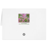 "ROZE AZALEA" BEDANKT MAM/HAPPY MOEDERDAG (Achterkant Horizontaal)