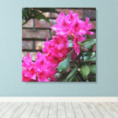 Roze Azalea Bloemen Canvas Afdruk (Insitu (Houten vloer))