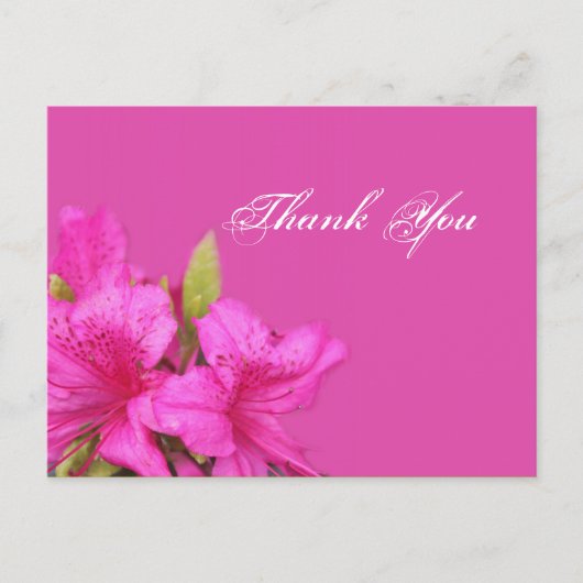 Roze azalea bloemen dank je postkaarten (Voorkant)