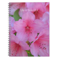 Roze Azalea Bloemen (mijn fotografie)