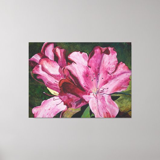 Roze Azalea Bloemen Schilderij Canvas Afdruk (Voorkant)
