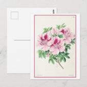 Roze Azalea Botanische Illustratie Vintage Briefkaart (Voorkant / Achterkant)