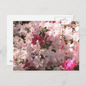 Roze Azalea Briefkaart (Voorkant / Achterkant)