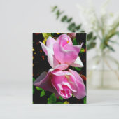 Roze Azalea Briefkaart (Staand voorkant)