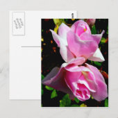 Roze Azalea Briefkaart (Voorkant / Achterkant)