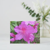 Roze Azalea Briefkaart (Staand voorkant)