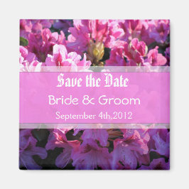 Roze azalea die struik trouwt, behalve de datum magneet