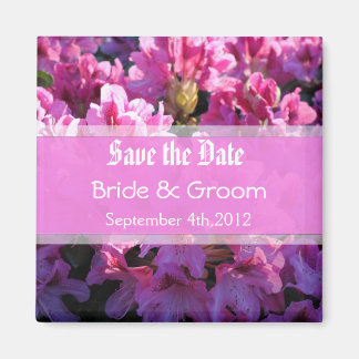 Roze azalea die struik trouwt, behalve de datum magneet