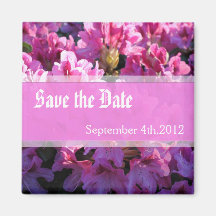 Roze azalea die struik trouwt, behalve de datum