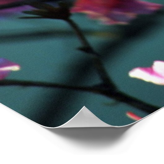 Roze Azalea en betekenis Poster (Hoek)