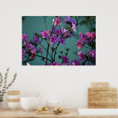 Roze Azalea en betekenis Poster (Keuken)