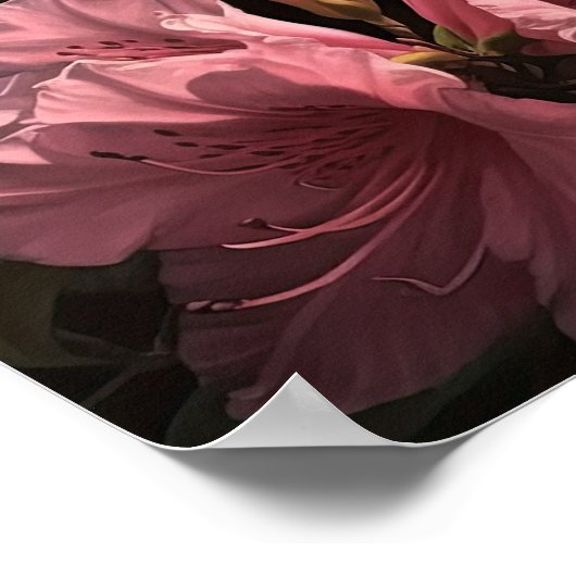 Roze Azalea Flowers Art Print Poster (Hoek)