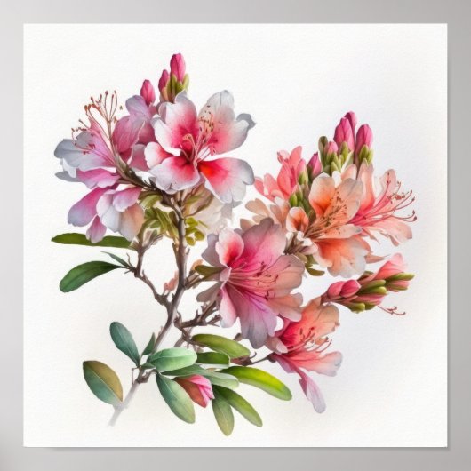 Roze Azalea Flowers Art Print Poster (Voorkant)