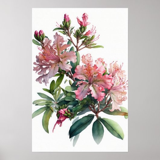 Roze Azalea Flowers Art Print Poster (Voorkant)