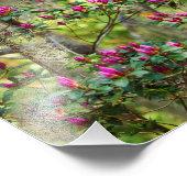 Roze Azalea in Bud Foto Afdruk (Hoek)