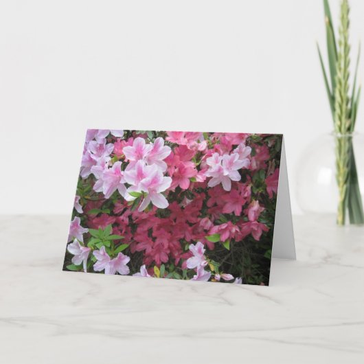 Roze Azalea NoteCard Kaart (Voorkant)