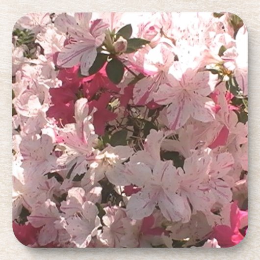 Roze Azalea Onderzetter (Voorkant)