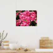 Roze Azalea Poster (Keuken)