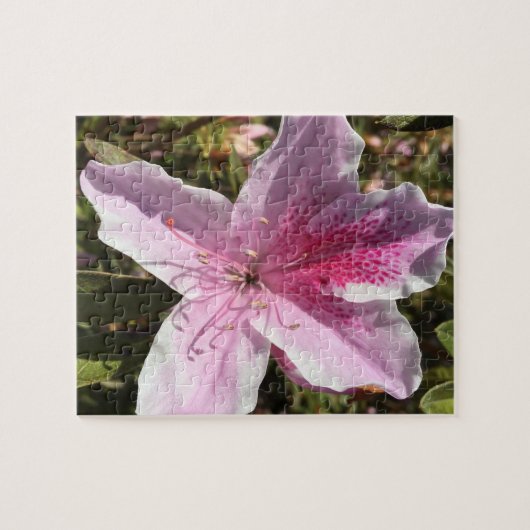 Roze Azalea puzzle Legpuzzel (Horizontaal)