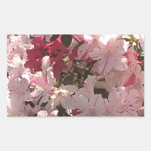 Roze Azalea Rechthoekige Sticker (Voorkant)