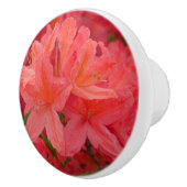 Roze Azalea Rhododendron Flowers Keramische Knop (Rechts)