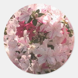 Roze Azalea Ronde Sticker