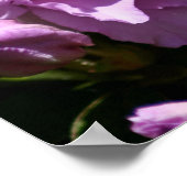 Roze Azalea Spring Flower Poster (Hoek)