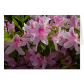 Roze Azalea Struik Spring Floral (Voorkant Horizontaal)