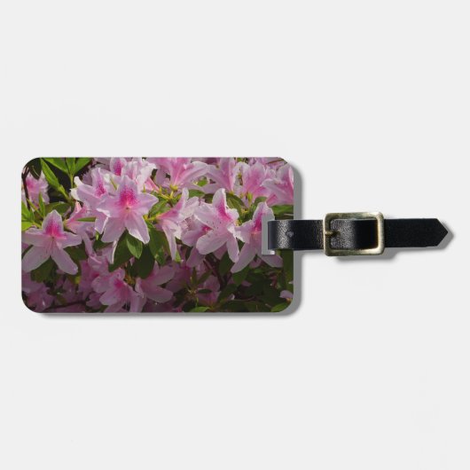 Roze Azalea Struik Spring Floral Bagagelabel (Voorkant horizontaal)