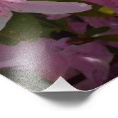 Roze Azalea Struik Spring Floral Foto Afdruk (Hoek)
