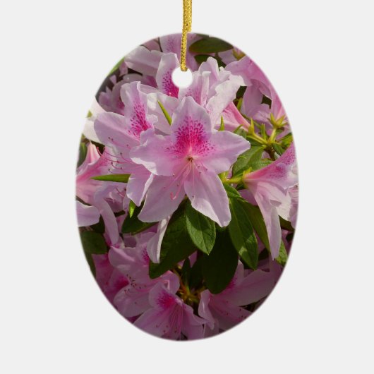 Roze Azalea Struik Spring Floral Keramisch Ornament (Voorkant)